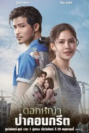 A Wildflower in the City A Wildflower in the City