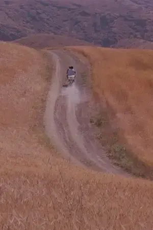 Nhật Ký Hải Trình One Piece: Truyền Kỳ Đảo Người Cá (Tập Đặc Biệt)